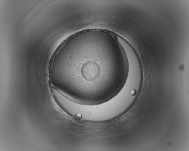 X0000115100950200911171237