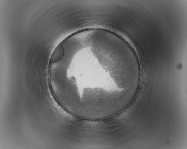 X0000115100951200911171237