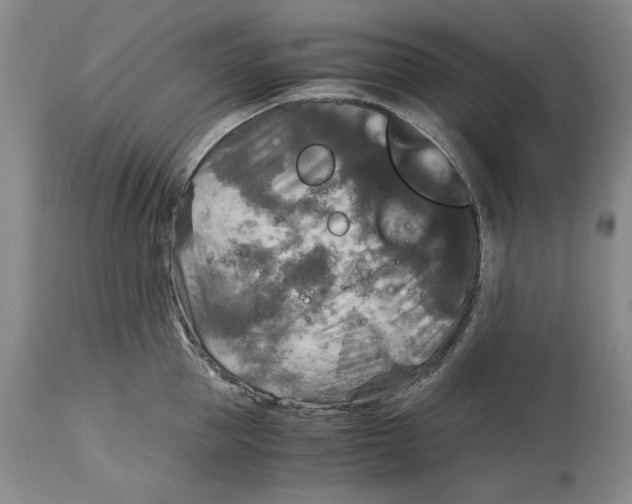 X0000115100953200911171237