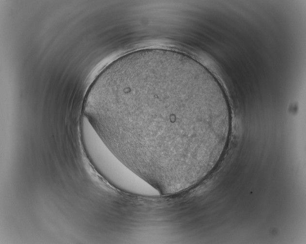 X0000115100954200911171237