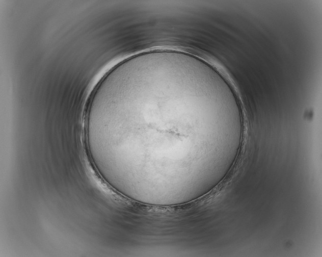 X0000115100955200911171237