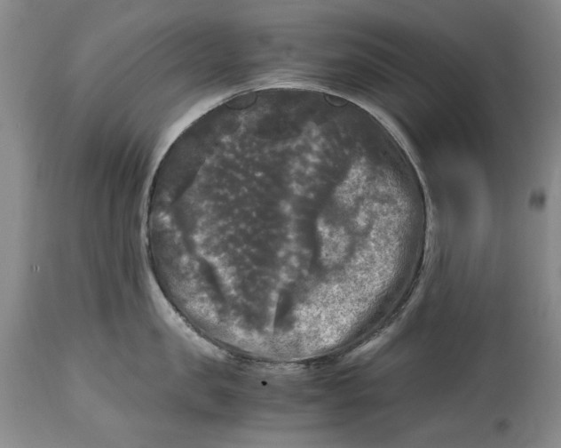 X0000115100957200911171237