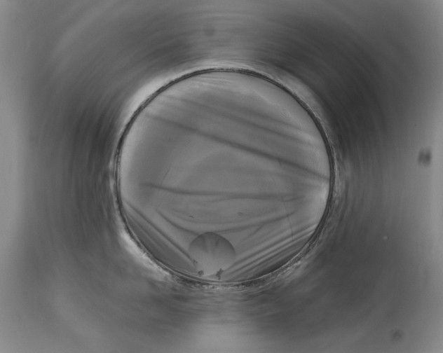 X0000115100958200911171237