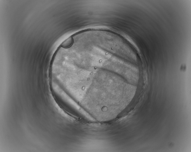 X0000115100959200911171237