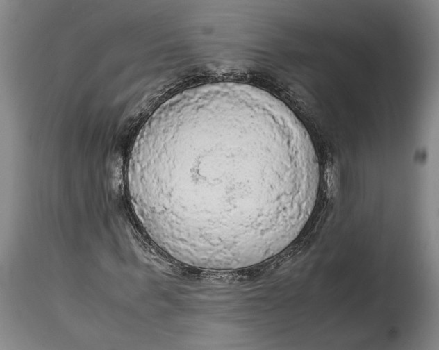 X0000115100963200911171237