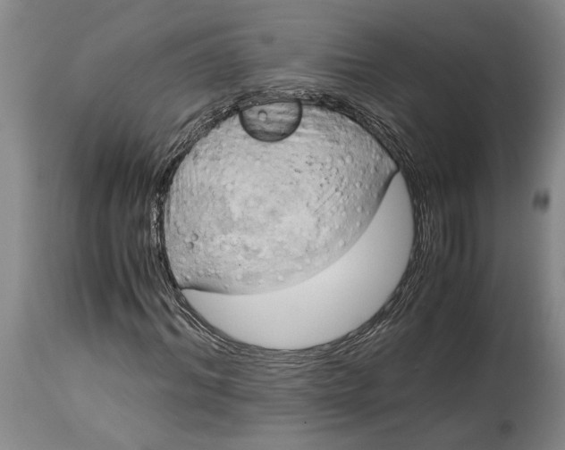 X0000115100964200911171237