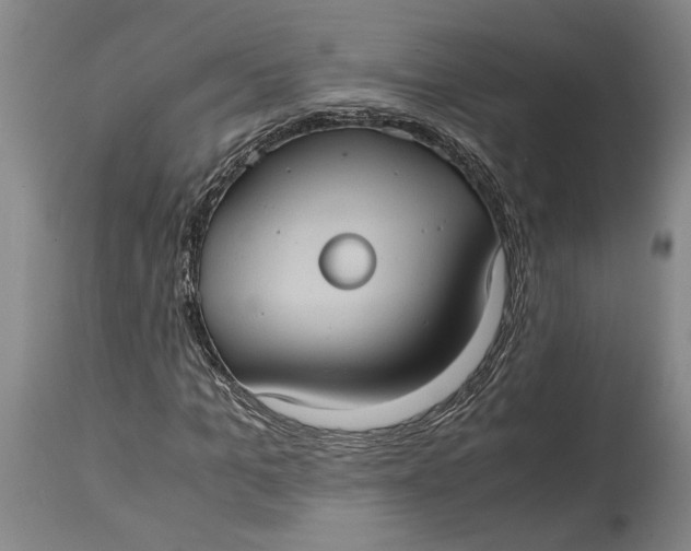 X0000115100965200911171237