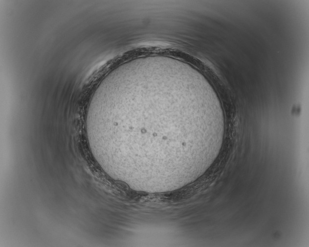 X0000115100967200911171237