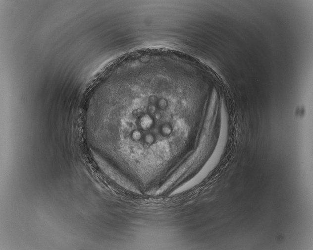 X0000115100968200911171237