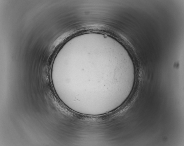 X0000115100970200911171237