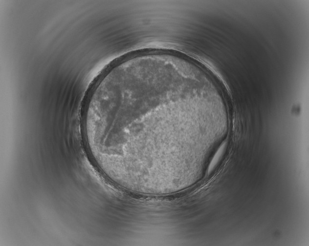 X0000115100972200911171237