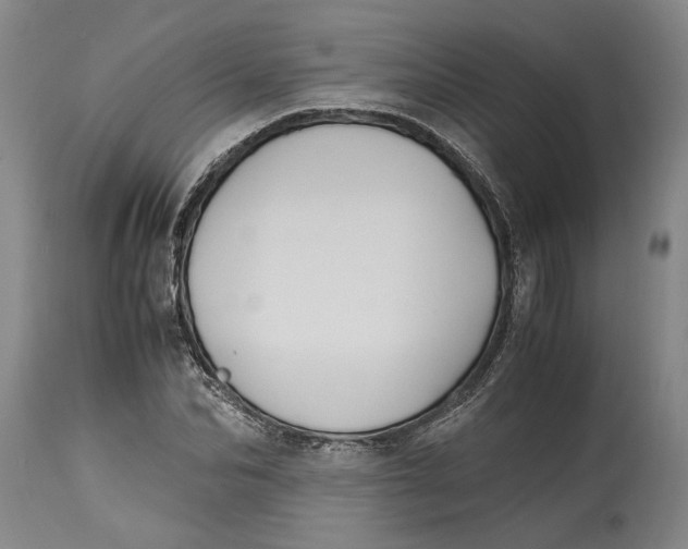 X0000115100974200911171237