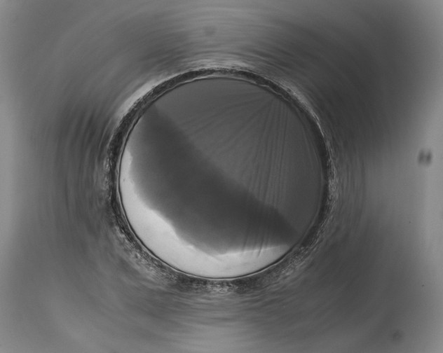 X0000115100975200911171237