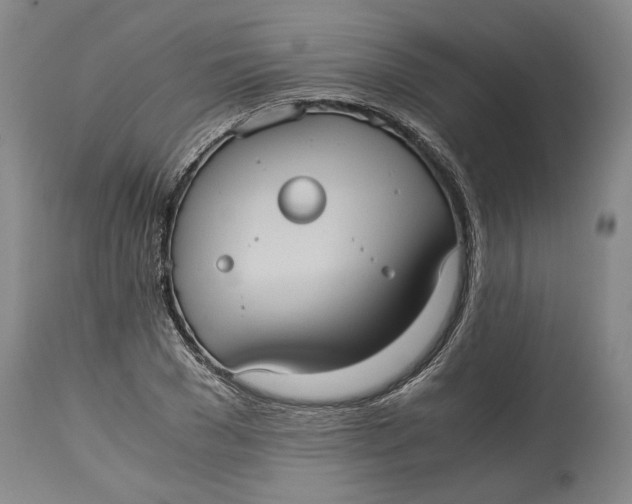 X0000115100977200911171237