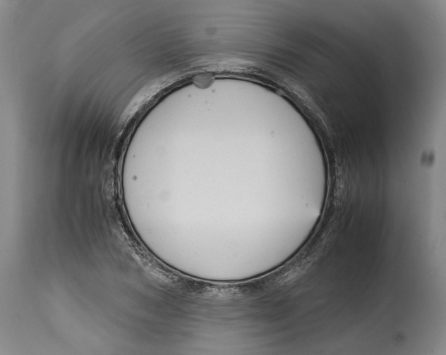 X0000115100978200911171237