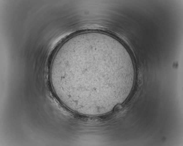 X0000115100979200911171237