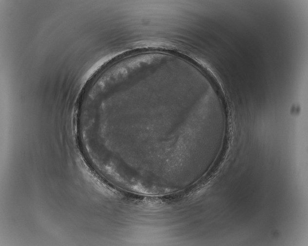 X0000115100983200911171236