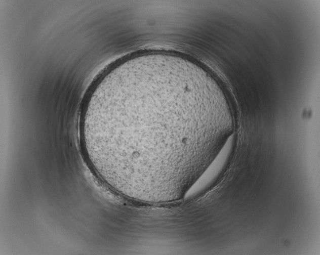 X0000115100984200911171236