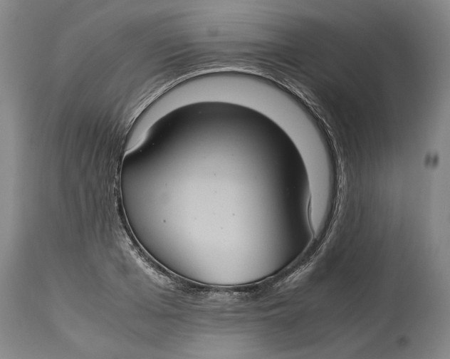 X0000115100985200911171236