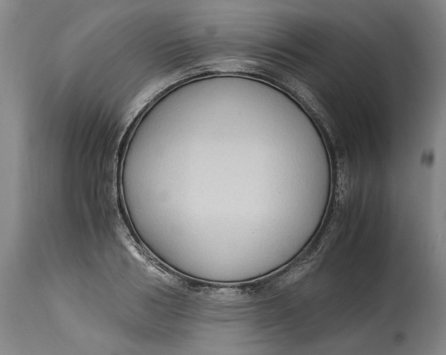 X0000115100986200911171236