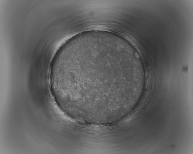 X0000115100987200911171236