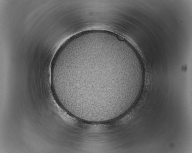 X0000115100988200911171236