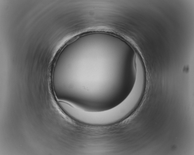 X0000115100989200911171236