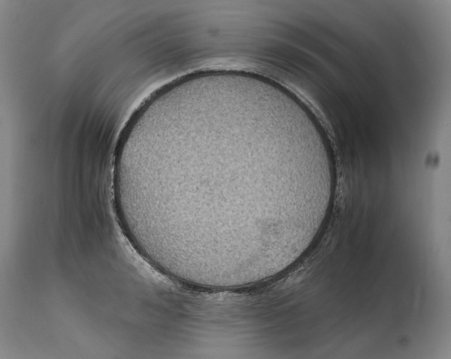 X0000115100992200911171236