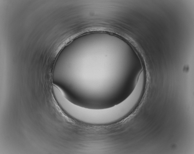 X0000115100993200911171236