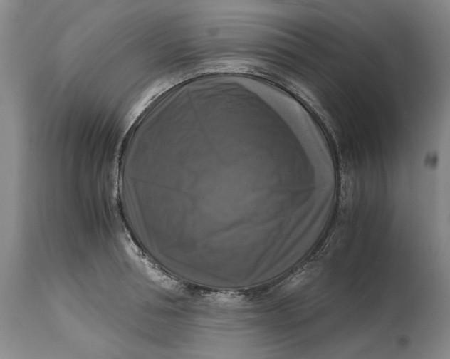 X0000115100994200911171236