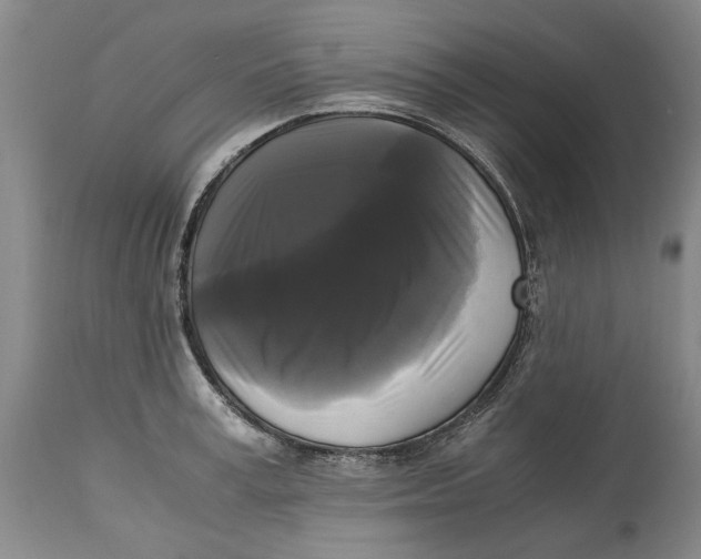 X0000115100995200911171236