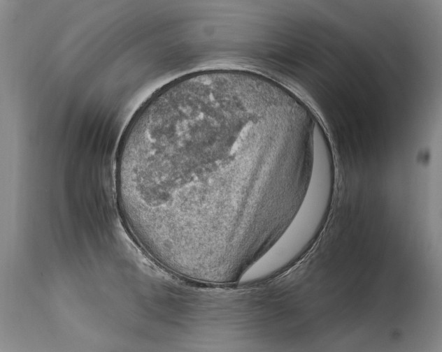 X0000115100996200911171236