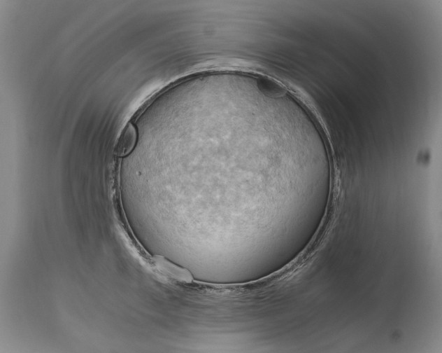 X0000115100997200911171236