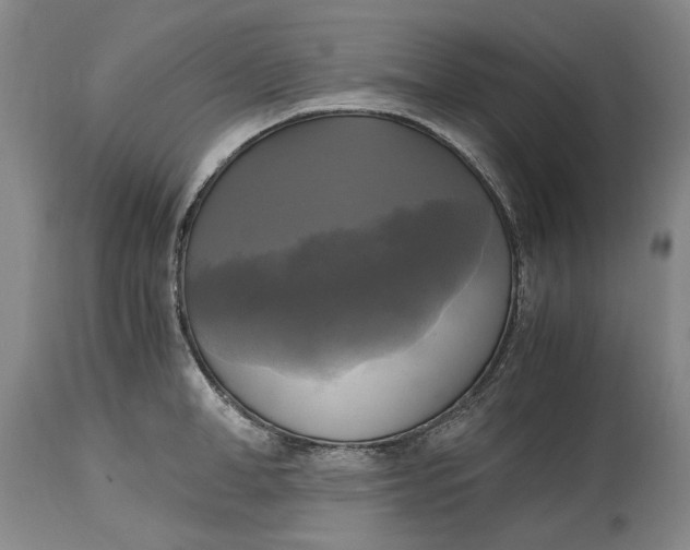 X0000115100998200911171236