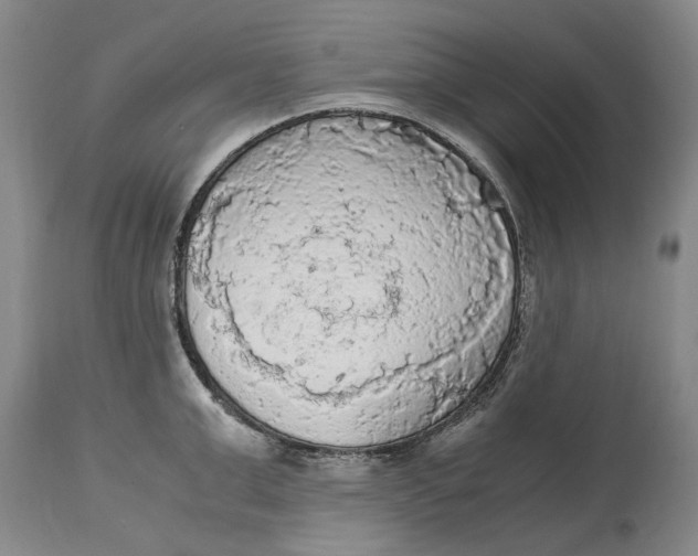 X0000115100999200911171236