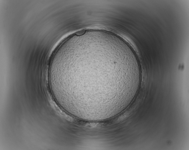 X0000115101000200911171236