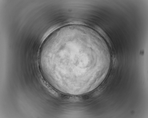 X0000115101002200911171236