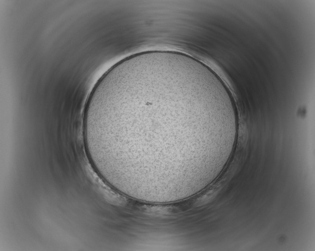 X0000115101004200911171236