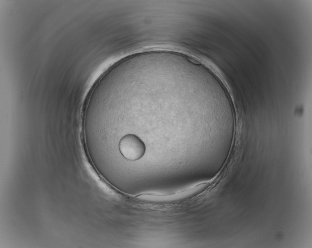 X0000115101005200911171236