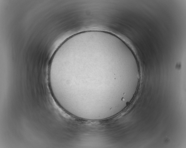 X0000115101006200911171236