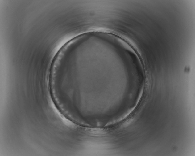 X0000115101007200911171236