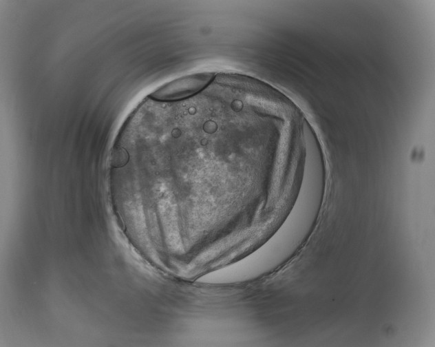 X0000115101008200911171236