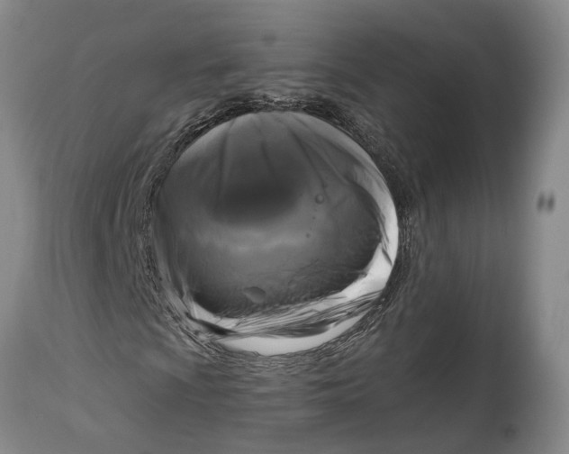 X0000115101009200911171235