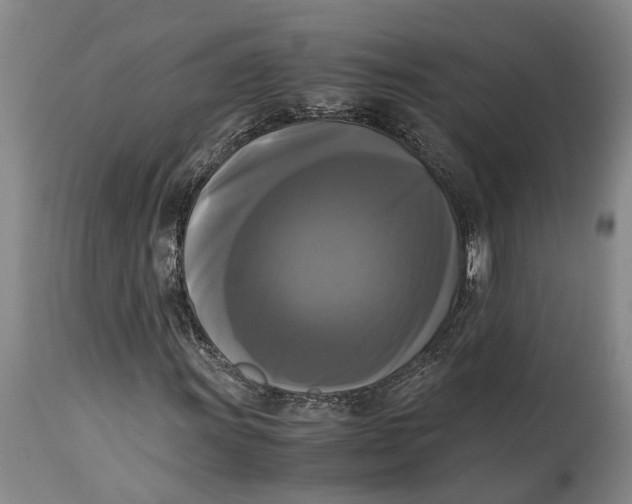 X0000115101011200911171235