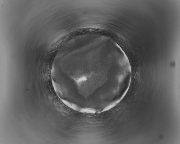 X0000115101014200911171236