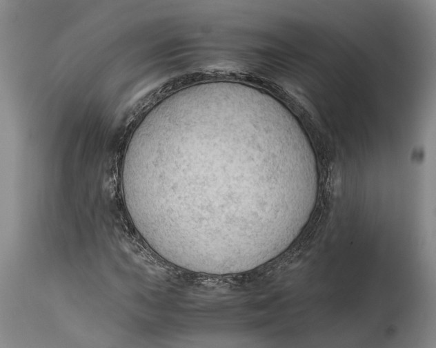 X0000115101015200911171236