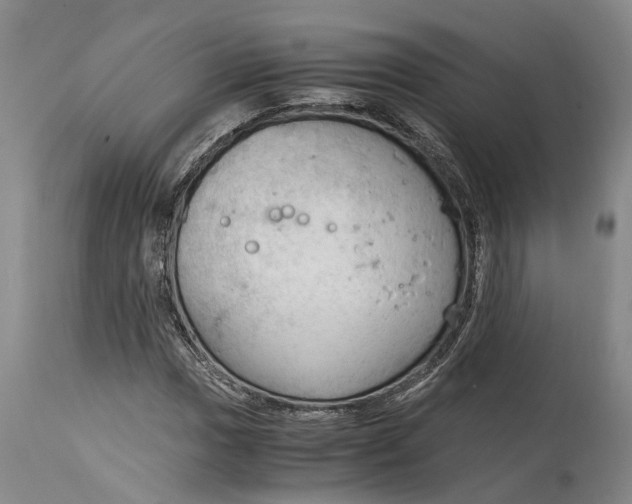 X0000115101017200911171236