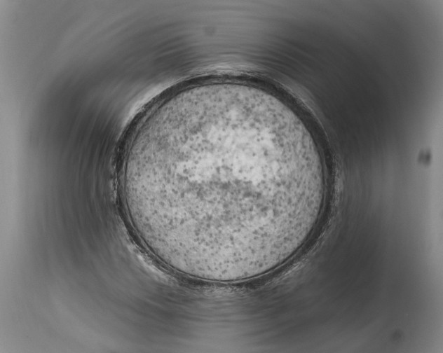 X0000115101018200911171236