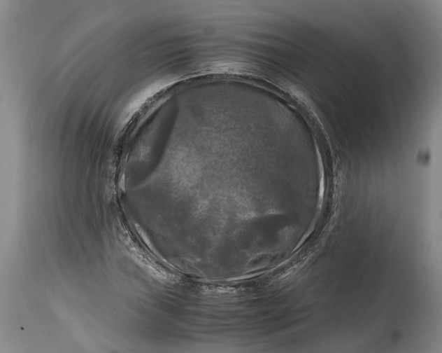 X0000115101019200911171236