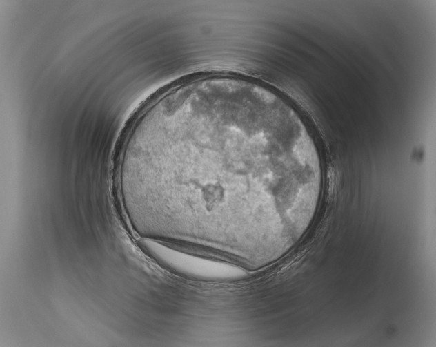 X0000115101020200911171236